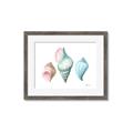 Picture of Seashells I  _GroupedProduct_Rectangle_Landscape_Framed_Matted_