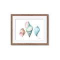Picture of Seashells I  _GroupedProduct_Rectangle_Landscape_Framed_Matted_