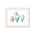 Picture of Seashells I  _GroupedProduct_Rectangle_Landscape_Framed_Matted_