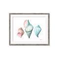 Picture of Seashells I  _GroupedProduct_Rectangle_Landscape_Framed_Matted_