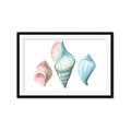 Picture of Seashells I  _GroupedProduct_Rectangle_Landscape_Framed_Matted_