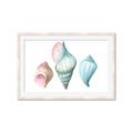 Picture of Seashells I  _GroupedProduct_Rectangle_Landscape_Framed_Matted_