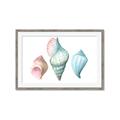 Picture of Seashells I  _GroupedProduct_Rectangle_Landscape_Framed_Matted_