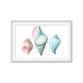 Picture of Seashells I  _GroupedProduct_Rectangle_Landscape_Framed_Matted_