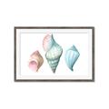 Picture of Seashells I  _GroupedProduct_Rectangle_Landscape_Framed_Matted_