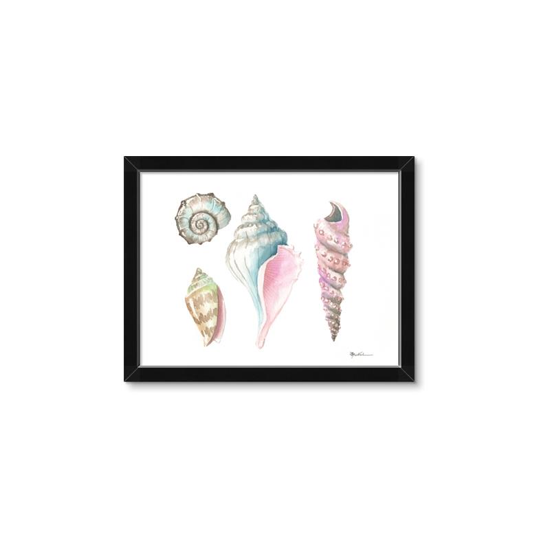 Picture of Seashells II  _GroupedProduct_Rectangle_Landscape_Framed_Matted_