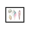 Picture of Seashells II  _GroupedProduct_Rectangle_Landscape_Framed_Matted_