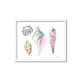 Picture of Seashells II  _GroupedProduct_Rectangle_Landscape_Framed_Matted_