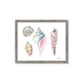 Picture of Seashells II  _GroupedProduct_Rectangle_Landscape_Framed_Matted_
