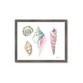 Picture of Seashells II  _GroupedProduct_Rectangle_Landscape_Framed_Matted_