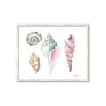 Picture of Seashells II  _GroupedProduct_Rectangle_Landscape_Framed_Matted_