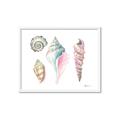 Picture of Seashells II  _GroupedProduct_Rectangle_Landscape_Framed_Matted_