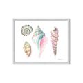 Picture of Seashells II  _GroupedProduct_Rectangle_Landscape_Framed_Matted_