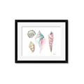 Picture of Seashells II  _GroupedProduct_Rectangle_Landscape_Framed_Matted_