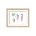 Picture of Seashells II  _GroupedProduct_Rectangle_Landscape_Framed_Matted_