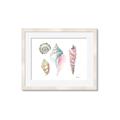 Picture of Seashells II  _GroupedProduct_Rectangle_Landscape_Framed_Matted_