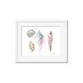 Picture of Seashells II  _GroupedProduct_Rectangle_Landscape_Framed_Matted_