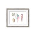 Picture of Seashells II  _GroupedProduct_Rectangle_Landscape_Framed_Matted_