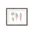 Picture of Seashells II  _GroupedProduct_Rectangle_Landscape_Framed_Matted_