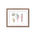 Picture of Seashells II  _GroupedProduct_Rectangle_Landscape_Framed_Matted_