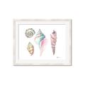 Picture of Seashells II  _GroupedProduct_Rectangle_Landscape_Framed_Matted_