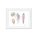 Picture of Seashells II  _GroupedProduct_Rectangle_Landscape_Framed_Matted_