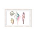 Picture of Seashells II  _GroupedProduct_Rectangle_Landscape_Framed_Matted_