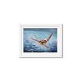 Picture of In water _GroupedProduct_Rectangle_Landscape_Framed_Matted_
