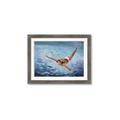 Picture of In water _GroupedProduct_Rectangle_Landscape_Framed_Matted_