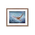Picture of In water _GroupedProduct_Rectangle_Landscape_Framed_Matted_