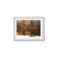 Picture of Cabin in the Woods  _GroupedProduct_Rectangle_Landscape_Framed_Matted_