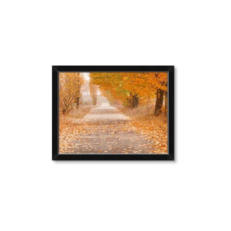 Picture of Falling Leaves  _GroupedProduct_Rectangle_Landscape_Photography _GroupedProduct_Rectangle_Landscape_Framed_Matted_
