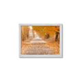 Picture of Falling Leaves  _GroupedProduct_Rectangle_Landscape_Photography _GroupedProduct_Rectangle_Landscape_Framed_Matted_