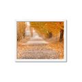 Picture of Falling Leaves  _GroupedProduct_Rectangle_Landscape_Photography _GroupedProduct_Rectangle_Landscape_Framed_Matted_