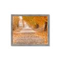 Picture of Falling Leaves  _GroupedProduct_Rectangle_Landscape_Photography _GroupedProduct_Rectangle_Landscape_Framed_Matted_