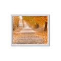 Picture of Falling Leaves  _GroupedProduct_Rectangle_Landscape_Photography _GroupedProduct_Rectangle_Landscape_Framed_Matted_