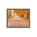 Picture of Falling Leaves  _GroupedProduct_Rectangle_Landscape_Photography _GroupedProduct_Rectangle_Landscape_Framed_Matted_
