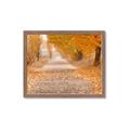 Picture of Falling Leaves  _GroupedProduct_Rectangle_Landscape_Photography _GroupedProduct_Rectangle_Landscape_Framed_Matted_