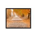 Picture of Falling Leaves  _GroupedProduct_Rectangle_Landscape_Photography _GroupedProduct_Rectangle_Landscape_Framed_Matted_
