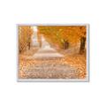 Picture of Falling Leaves  _GroupedProduct_Rectangle_Landscape_Photography _GroupedProduct_Rectangle_Landscape_Framed_Matted_