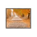 Picture of Falling Leaves  _GroupedProduct_Rectangle_Landscape_Photography _GroupedProduct_Rectangle_Landscape_Framed_Matted_