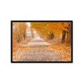 Picture of Falling Leaves  _GroupedProduct_Rectangle_Landscape_Photography _GroupedProduct_Rectangle_Landscape_Framed_Matted_
