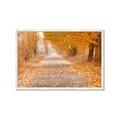 Picture of Falling Leaves  _GroupedProduct_Rectangle_Landscape_Photography _GroupedProduct_Rectangle_Landscape_Framed_Matted_