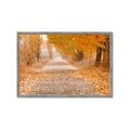 Picture of Falling Leaves  _GroupedProduct_Rectangle_Landscape_Photography _GroupedProduct_Rectangle_Landscape_Framed_Matted_