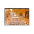 Picture of Falling Leaves  _GroupedProduct_Rectangle_Landscape_Photography _GroupedProduct_Rectangle_Landscape_Framed_Matted_