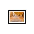 Picture of Falling Leaves  _GroupedProduct_Rectangle_Landscape_Photography _GroupedProduct_Rectangle_Landscape_Framed_Matted_