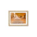 Picture of Falling Leaves  _GroupedProduct_Rectangle_Landscape_Photography _GroupedProduct_Rectangle_Landscape_Framed_Matted_