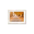 Picture of Falling Leaves  _GroupedProduct_Rectangle_Landscape_Photography _GroupedProduct_Rectangle_Landscape_Framed_Matted_