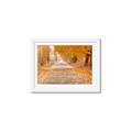 Picture of Falling Leaves  _GroupedProduct_Rectangle_Landscape_Photography _GroupedProduct_Rectangle_Landscape_Framed_Matted_