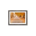 Picture of Falling Leaves  _GroupedProduct_Rectangle_Landscape_Photography _GroupedProduct_Rectangle_Landscape_Framed_Matted_